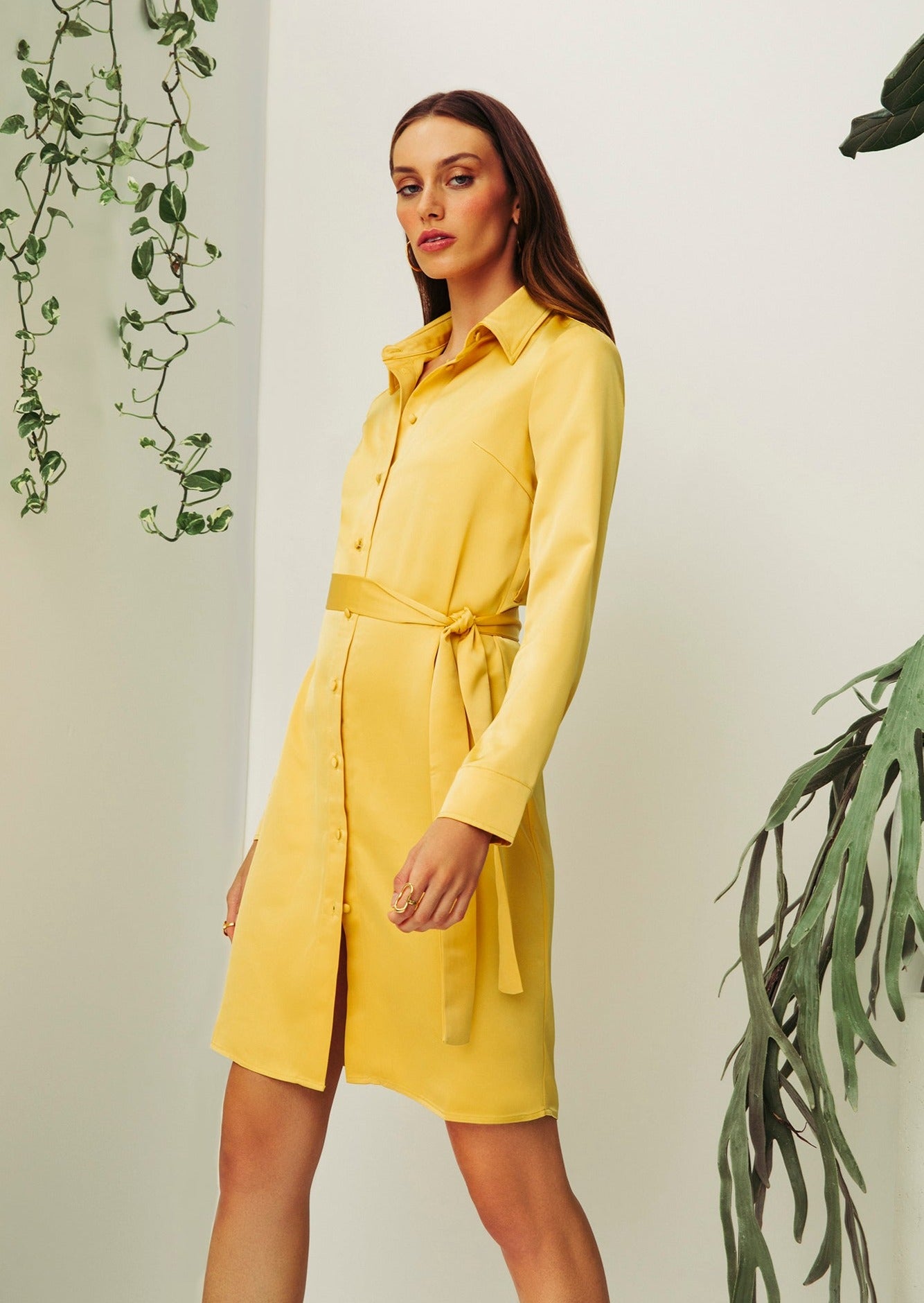 Blouson Belted Dress